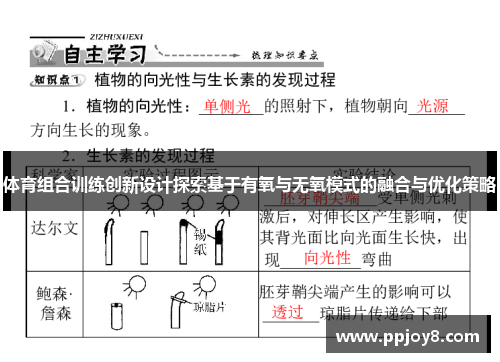 体育组合训练创新设计探索基于有氧与无氧模式的融合与优化策略
