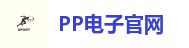 PP电子官网